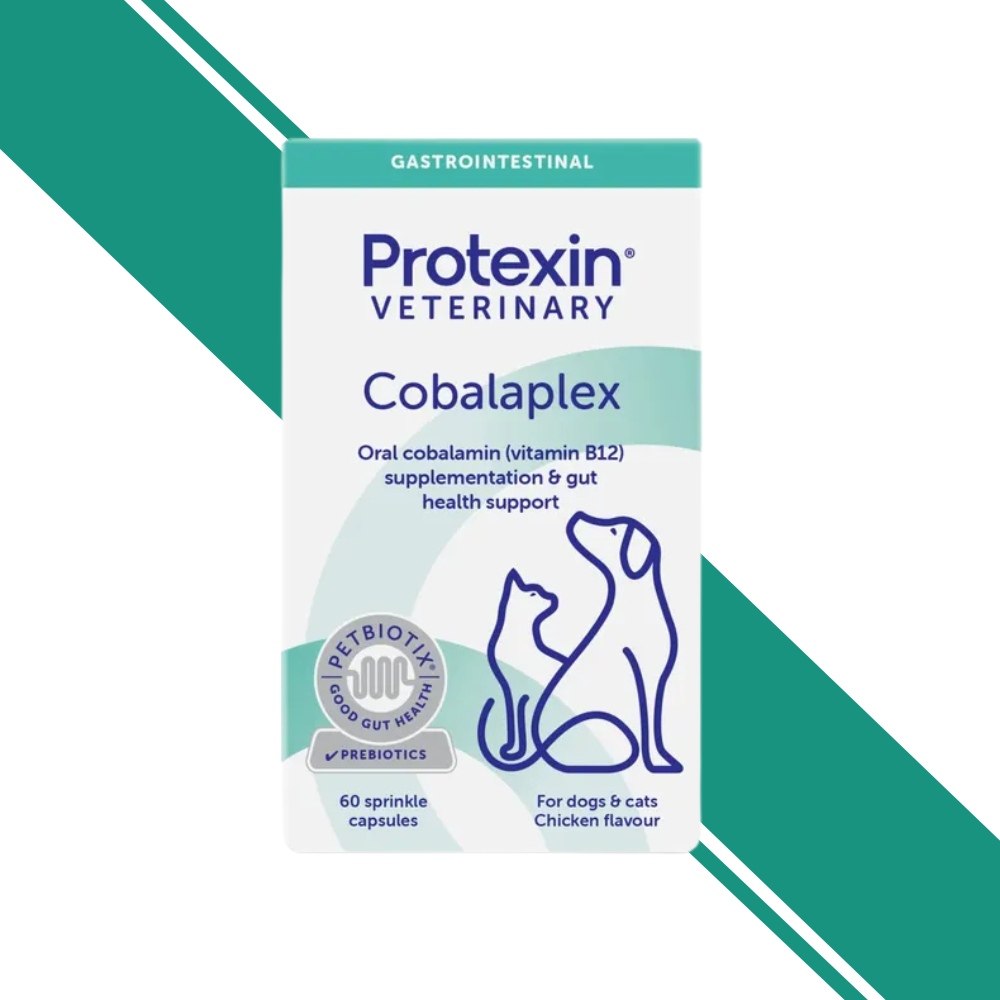 Protexin Veterinary Cobalaplex Capsules for Cats and Dogs – Vitamin B12 & B9 Supplement